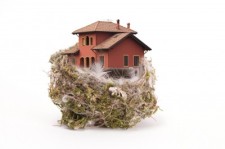 house-nest